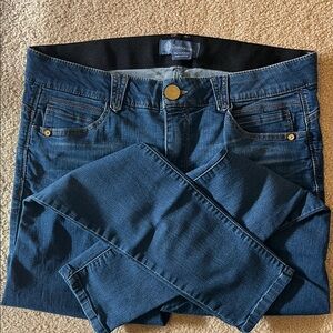 Democracy Deep Blue Skinny Jeans